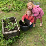 20. Mai: Louisa und Felicia Schnell beim Häufeln 